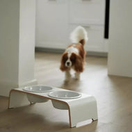Futterstation dogBar® für Hunde | Porzellan | Cashmere grey | NEU: 6 Größen | Fräulein Plath