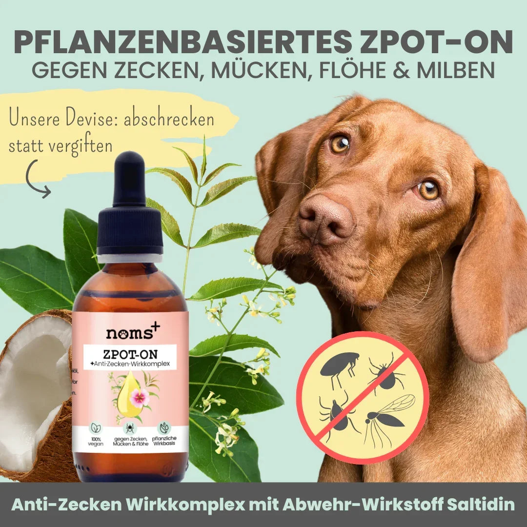Noms+ Zpot-on Tropfen für Hunde gegen Flöhe, Zecken, Milben & Mücken | 100% Chemiefrei | 50ml Jahresvorrat