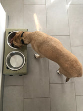 Lade das Bild in den Galerie-Viewer, Jaska Hundenapf ARC Solo | Erhöhte Hundebar | Stahl &amp; Edelstahl | 4 Größen | Olive
