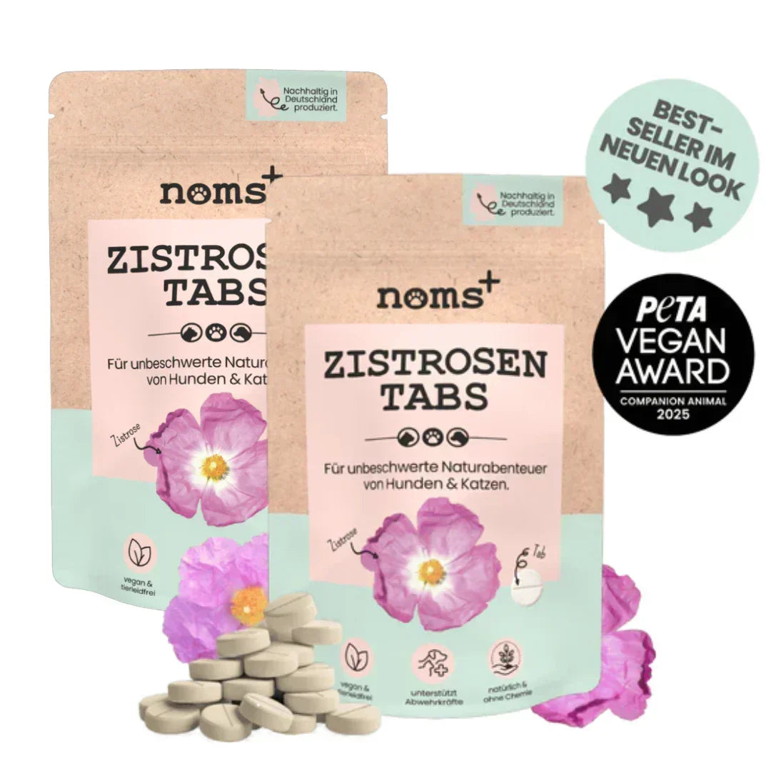 Noms+ Zistrosen Tabs - 100% natürliches Zistrosen-Leckerli für Wald- & Wiesenspaziergänge | Für Hund & Katze | 100% Chemiefrei | 150g | Fräulein Plath