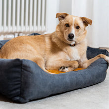 Lade das Bild in den Galerie-Viewer, Nachhaltiges Rexproduct Hundebett ORTHOPÄDISCH - waschbar &amp; schadstofffrei | Dunkelgrau | 8 versch. Matratzenfarben

