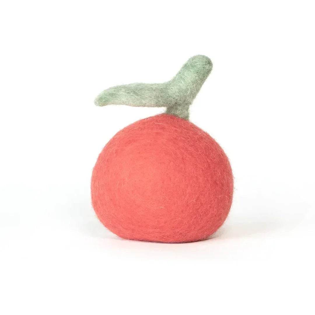 Nachhaltiges Hundespielzeug 