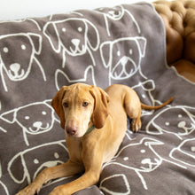Lade das Bild in den Galerie-Viewer, Hundedecke Dogs von Caruso - weich &amp; flauschig - Hund liegt auf Sofa
