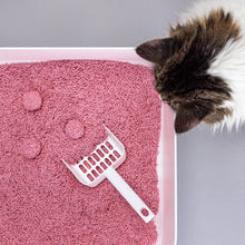 Lade das Bild in den Galerie-Viewer, 2x17L Nachhaltiges Katzenstreu Tofu Babypuder von HOOPO® | 100% Tofu | Babypuder Duft | Blitzschnelle Klumpenbildung | Katze in Katzentoilette
