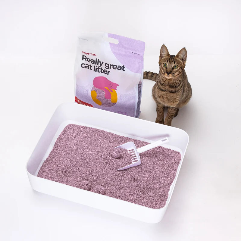 Katze neben HOOPO Tofu-Katzenstreu Fine Lavendel und einer weißen Katzentoilette mit lila Streu