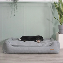 Lade das Bild in den Galerie-Viewer, BUDDY. Bundle - Hundebett + Hundedecke + Hundespielzeug und 15% Rabatt Hundetraining Ellen Marques | Fräulein Plath
