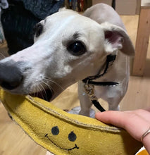 Lade das Bild in den Galerie-Viewer, Nachhaltiges Hundespielzeug &quot;Barne Banane&quot; | Robust &amp; 100% schadstofffrei | Upcycling Leder &amp; natürliche Baumwolle
