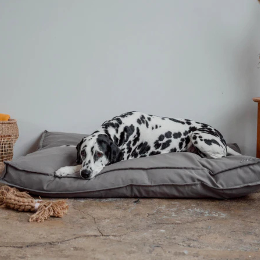 Nachhaltige Hundematratze 