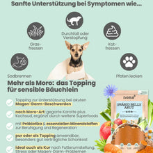 Lade das Bild in den Galerie-Viewer, Noms+ Präbio Belly AKUT: pflanzenbasierte Darmkur für Hunde nach Moro-Art - Ready to eat
