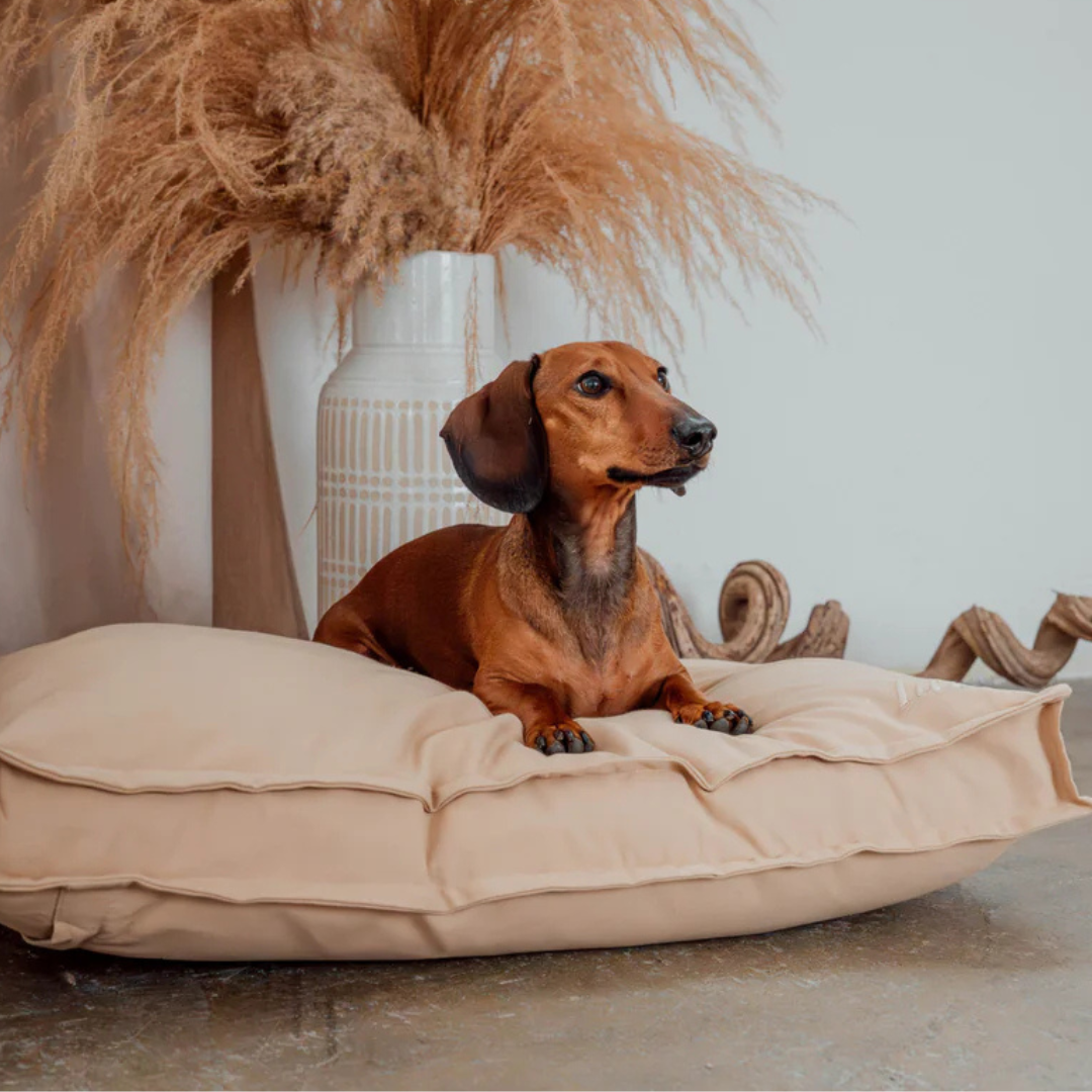 Nachhaltige Hundematratze 
