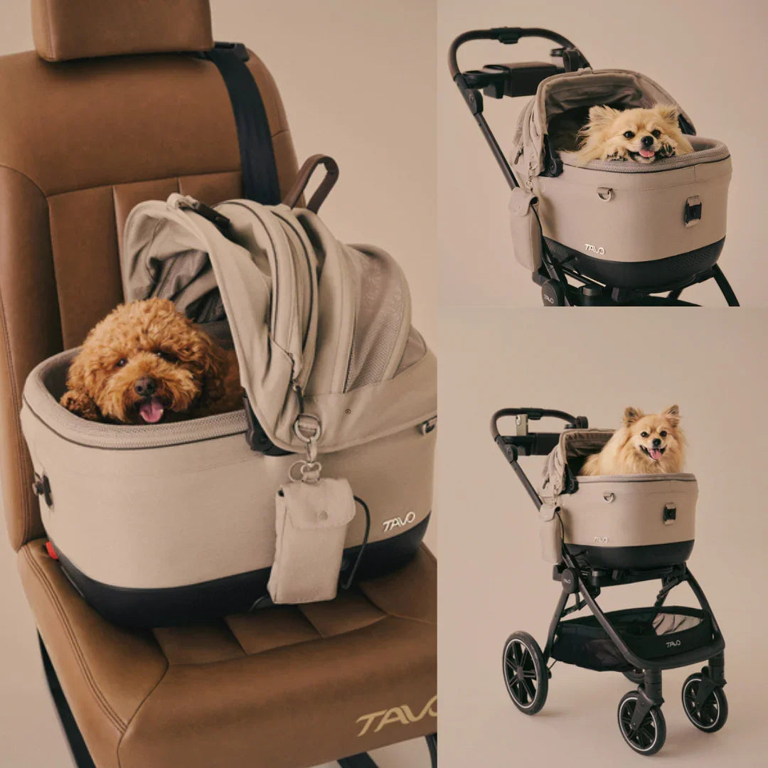 Isofix Autositz & Transportbox Maeve™ iso5x von Tavo für Hunde bis 13.6 kg | GREENGUARD-Gold-Zertifizierung | Farbe: Merle