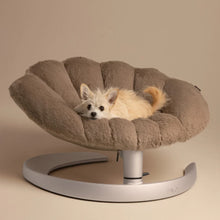 Lade das Bild in den Galerie-Viewer, Schwingendes Haustierbett SHELL von TAVO| Für Hund &amp; Katze | GREENGUARD-Gold-Zertifizierung | Farbe: Caramel
