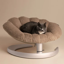 Lade das Bild in den Galerie-Viewer, Schwingendes Haustierbett SHELL von TAVO| Für Hund &amp; Katze | GREENGUARD-Gold-Zertifizierung | Farbe: Caramel
