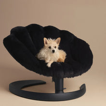Lade das Bild in den Galerie-Viewer, Schwingendes Haustierbett SHELL von TAVO| Für Hund &amp; Katze | GREENGUARD-Gold-Zertifizierung | Farbe: Onyx
