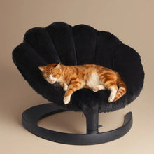 Lade das Bild in den Galerie-Viewer, Schwingendes Haustierbett SHELL von TAVO| Für Hund &amp; Katze | GREENGUARD-Gold-Zertifizierung | Farbe: Onyx
