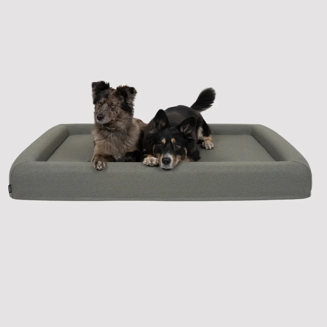 FINNTO® Hundebett orthopädisch | Antiallergen | FAIRTRADE zertifiziert & Oeko-Tex® Standard | Olivegrau | Fräulein Plath
