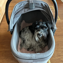 Lade das Bild in den Galerie-Viewer, Isofix Autositz &amp; Transportbox Maeve™ iso6x von Tavo für Hunde bis 18 kg | GREENGUARD-Gold-Zertifizierung | Farbe: Merle | Fräulein Plath
