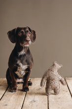 Lade das Bild in den Galerie-Viewer, Öko-Hundespielzeug | Natürlicher Wollfilz | 100% schadstofffrei &amp;  biologisch abbaubar | Bär
