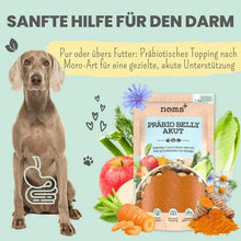 Lade das Bild in den Galerie-Viewer, Noms+ Präbio Belly AKUT: pflanzenbasierte Darmkur für Hunde nach Moro-Art - Ready to eat
