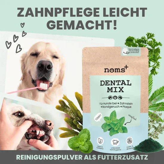 Noms+ Dentalmix für Hunde | Bei Plaque & Zahnstein | Rein Pflanzlich & frischer Atem | 100% vegan & tierleidfrei | Fräulein Plath
