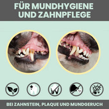 Lade das Bild in den Galerie-Viewer, Natürliches Dentalspray bei Zahnstein uvm. | Hoch-effektive Pflanzenextrakte | Für Hunde &amp; Katzen  | 100% vegan &amp; tierleidfrei
