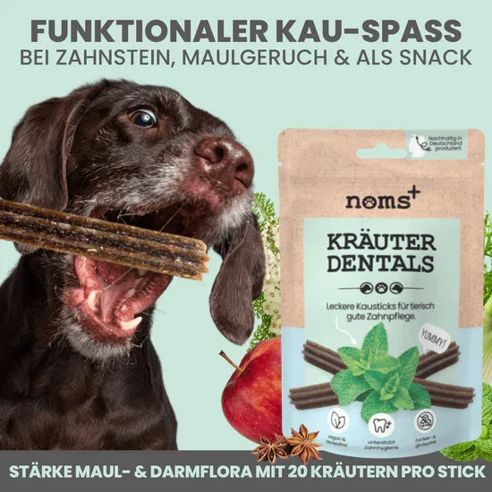 noms+ 3in1 Dental Box für Hunde | Natürlich & ohne Chemie | 100% vegan & tierleidfrei | Peta-zertifiziert | Fräulein Plath