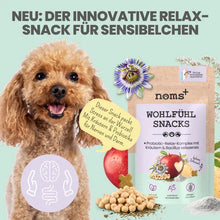 Lade das Bild in den Galerie-Viewer, Noms+ Wohlfühlsnacks für Hunde | Bei Stress, Angst, Unruhe &amp; Hyperaktivität | 100% vegan &amp; tierleidfrei | 200g
