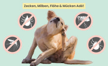 Lade das Bild in den Galerie-Viewer, PROBIERANGEBOT! Zpot-on Tropfen für Hunde gegen Flöhe, Zecken, Milben &amp; Mücken | 100% Chemiefrei | 50ml Jahresvorrat
