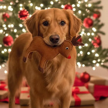 Lade das Bild in den Galerie-Viewer, Nachhaltiges Geschenke Set für Hunde &quot;Driving Home For Christmas&quot; | Tolles Weihnachtsgeschenk für Hund &amp; Hundeeltern
