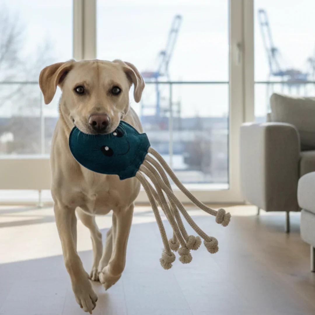 Nachhaltiges Hundespielzeug & Dummy Oktopus 