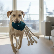 Lade das Bild in den Galerie-Viewer, Nachhaltiges Hundespielzeug &amp; Dummy Oktopus &quot;Karla Krake 2.0&quot; | 100% schadstofffrei | Upcycling Leder
