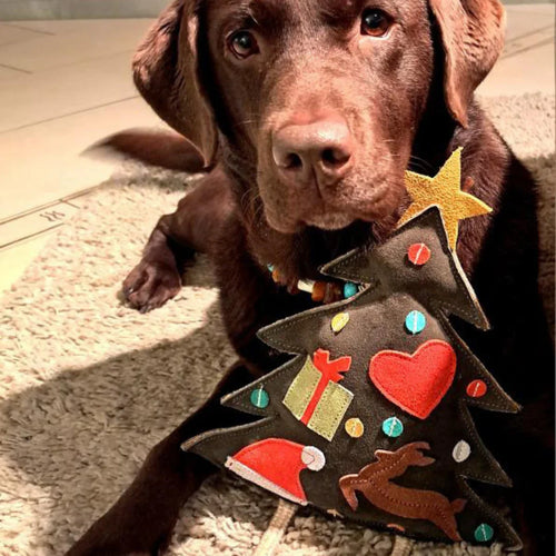 Nachhaltiges Leder Hundespielzeug 