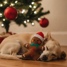 Lade das Bild in den Galerie-Viewer, Hundespielzeug Set &quot;Jingle Bell Rock&quot; für Hunde | Schadstofffrei &amp; robust | Upcycling Leder | Weihnachtsgeschenk
