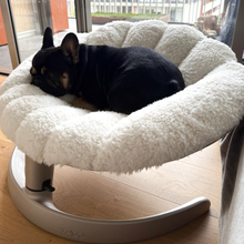 Lade das Bild in den Galerie-Viewer, Schwingendes Haustierbett SHELL von TAVO| Für Hund &amp; Katze | GREENGUARD-Gold-Zertifizierung
