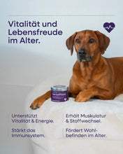 Lade das Bild in den Galerie-Viewer, SeniorPaws von BetterPaws - Pulver für Vitalität im Alter - 250g | Fräulein Plath
