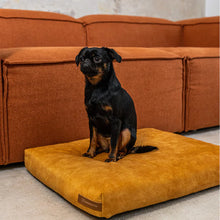 Lade das Bild in den Galerie-Viewer, Nachhaltige Öko Hundematratze &quot;SoftPET&quot; von Rexproduct | 100% schadstofffrei &amp; recycelt | 8 Farben
