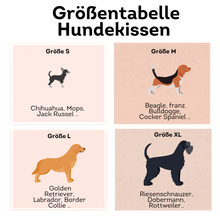 Lade das Bild in den Galerie-Viewer, Orthopädisches Hundekissen BUDDYstyle HOUND&amp;NATURE | Härtegrad variierbar | Wasserdicht &amp; recycelt | Taupe | Fräulein Plath
