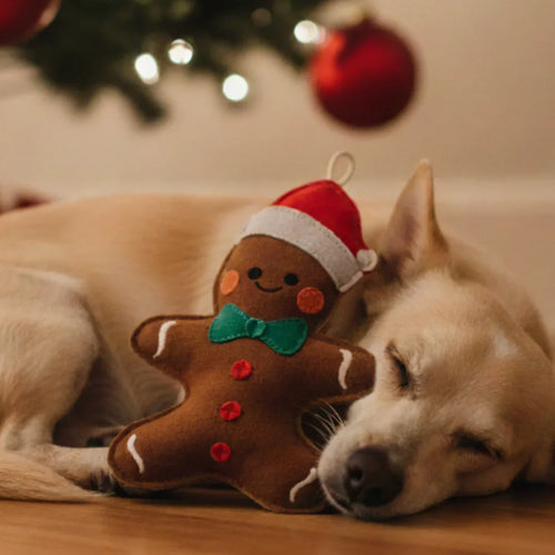 Nachhaltiges Leder Hundespielzeug 