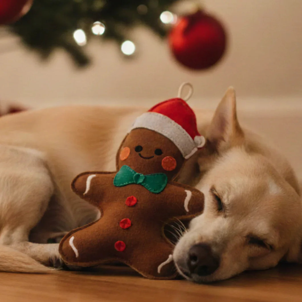 Nachhaltiges Leder Hundespielzeug 