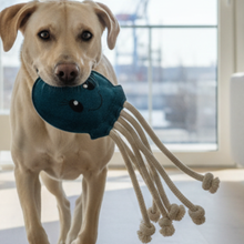 Lade das Bild in den Galerie-Viewer, Nachhaltiges Hundespielzeug &amp; Dummy Oktopus &quot;Karla Krake 2.0&quot; | 100% schadstofffrei | Upcycling Leder | Fräulein Plath
