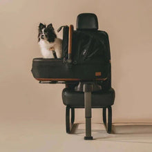 Lade das Bild in den Galerie-Viewer, Isofix Autositz &amp; Transportbox Maeve™ Medium Rigid von Tavo für Hunde bis 13.6 kg | GREENGUARD-Gold-Zertifizierung | Farbe: Onyx
