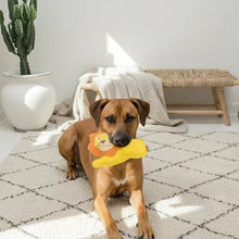 Lade das Bild in den Galerie-Viewer, Nachhaltiges BUDDY. Leder Hundespielzeug Löwe - schadstofffrei - inkl. 15% Rabatt Hundetraining Ellen Marques | Fräulein Plath
