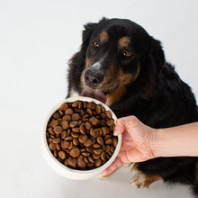 Lade das Bild in den Galerie-Viewer, Veganes Hundefutter: Trockenfutter Wie Rind – von Vutter! - Hund frisst
