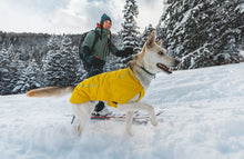 Lade das Bild in den Galerie-Viewer, VERT™ JACKET Wintermantel von Ruffwear | Wasserdicht &amp; isolierend | Enthält recyceltes Polyester | Mineral Yellow
