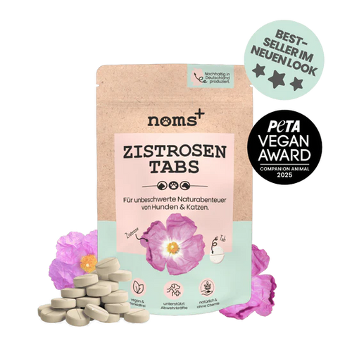 Zistrosen Tabs - 100% natürliches Zistrosen-Leckerli für Wald- & Wiesenspaziergänge | Für Hund & Katze | 100% Chemiefrei | 150g