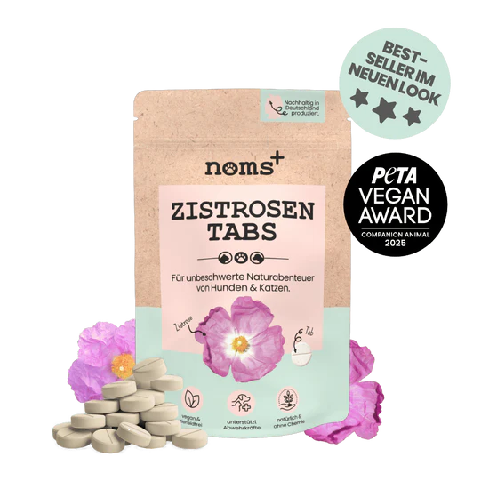 Zistrosen Tabs - 100% natürliches Zistrosen-Leckerli für Wald- & Wiesenspaziergänge | Für Hund & Katze | 100% Chemiefrei | 150g