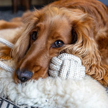 Lade das Bild in den Galerie-Viewer, Nachhaltiges Hundespielzeug Spar-Set &quot;Play&quot; | 100% schadstofffrei | Upcycling Leder &amp; natürliche Baumwolle
