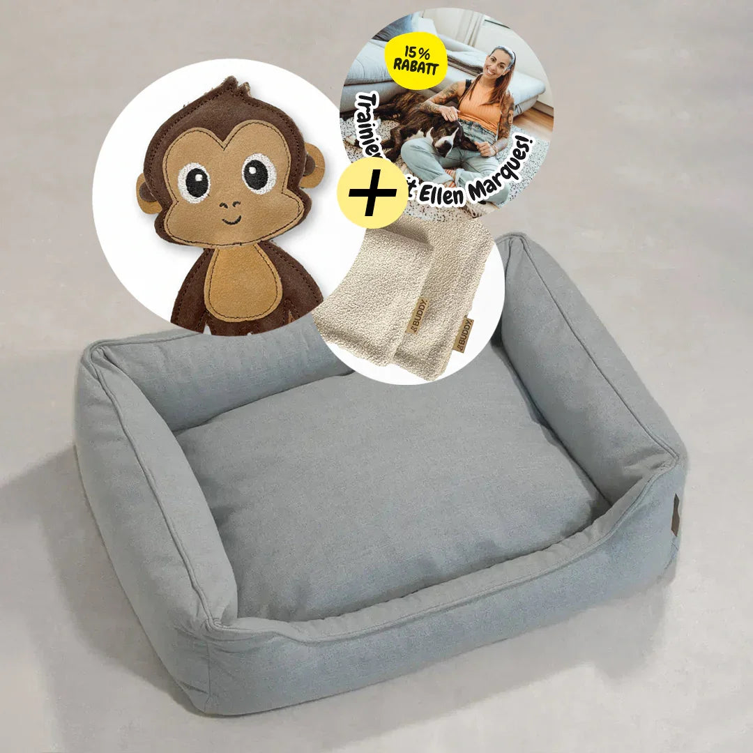 BUDDY. Bundle - Hundebett + Hundedecke + Hundespielzeug und 15% Rabatt Hundetraining Ellen Marques | Fräulein Plath