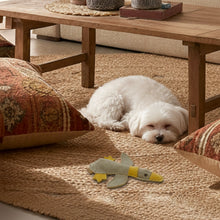 Lade das Bild in den Galerie-Viewer, Nachhaltiges BUDDY. Hundespielzeug aus Leder für kleine Hunde "Ente" - schadstofffrei
