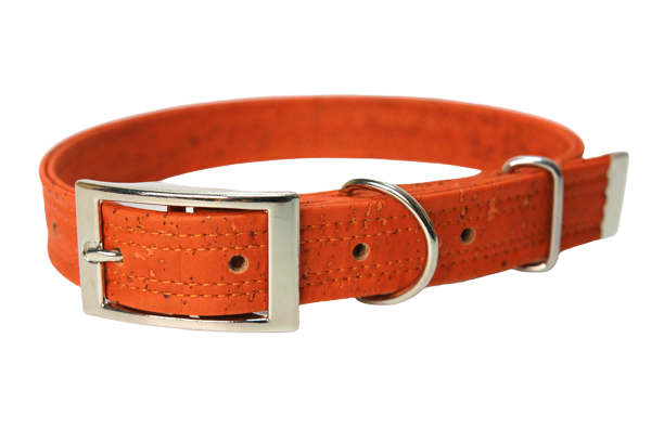 Hundehalsband mit Dornschnalle | Korkleder | Umweltfreundlich | Robust & Vegan | Pumpkin/Silber